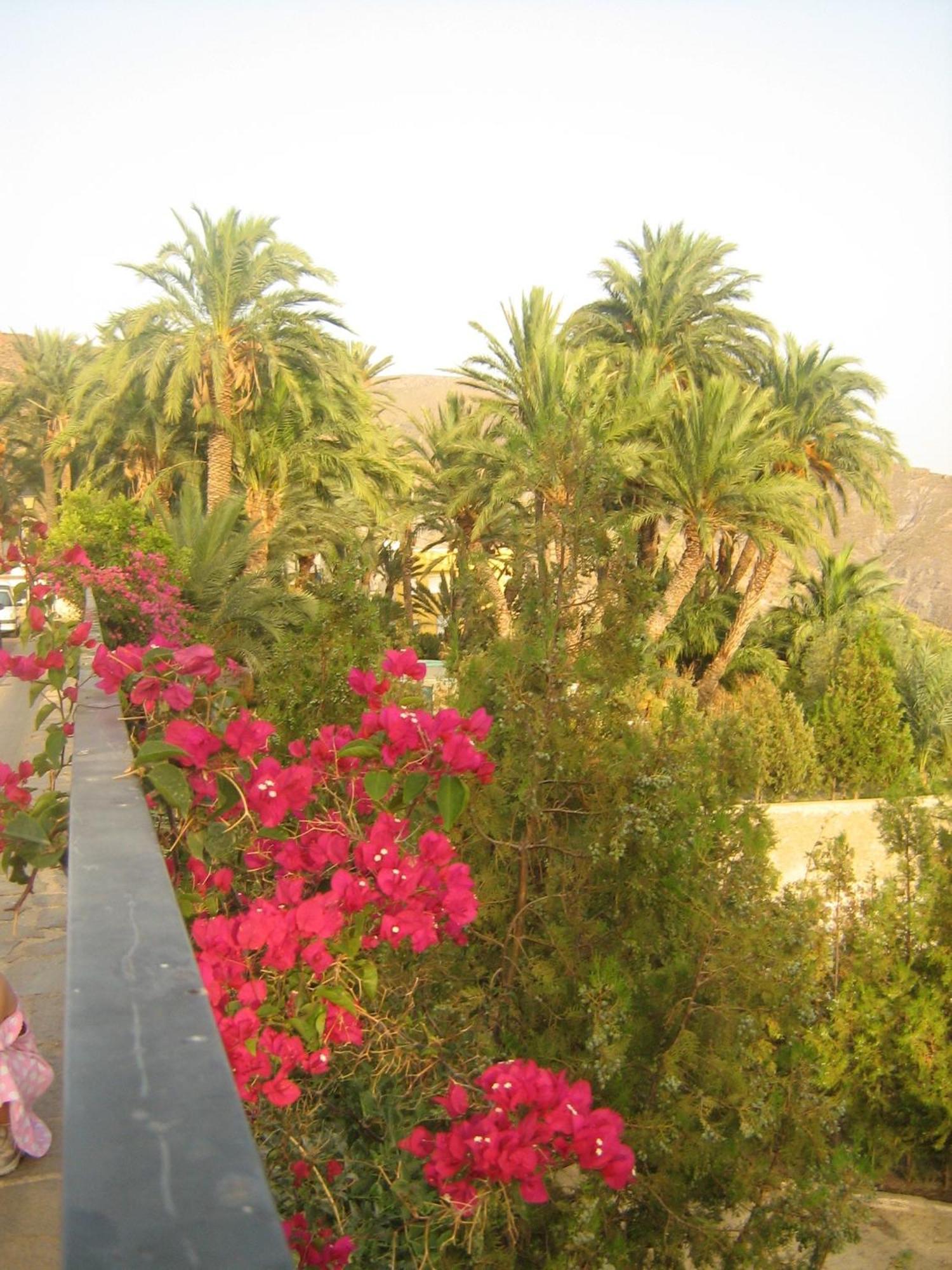 Hotel Balneario De Sierra Alhamilla Pechina Extérieur photo